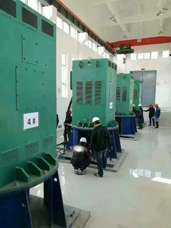 襄州某污水处理厂使用我厂的立式高压电机安装现场